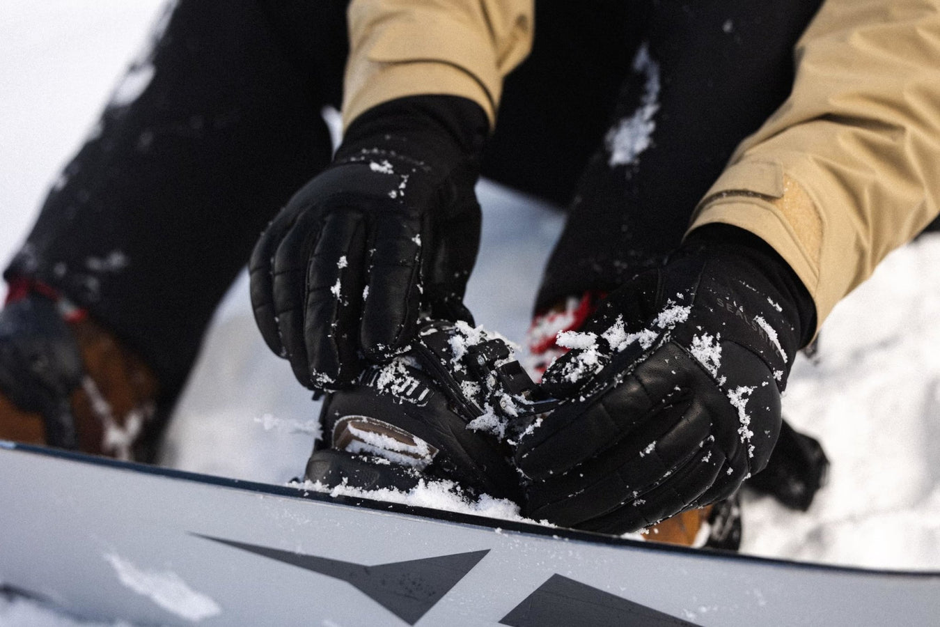 Snow Sports Gloves - Sealskinz EU